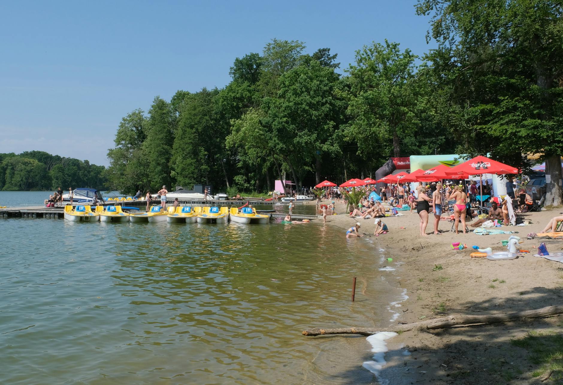 Majówka w Rawie Mazowieckiej - zdjęcie przedstawiające zielony park miejski lub wydarzenie plenerowe.